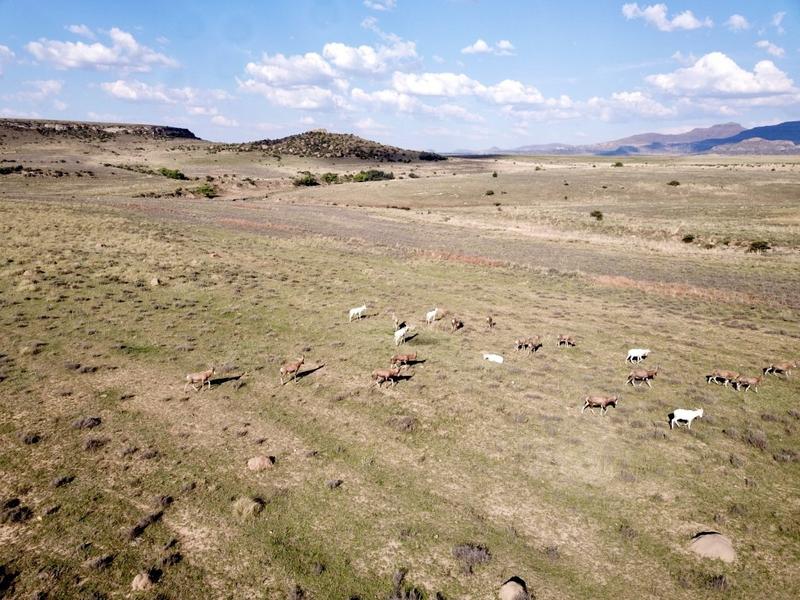 20 Bedroom Property for Sale in Paul Roux Free State